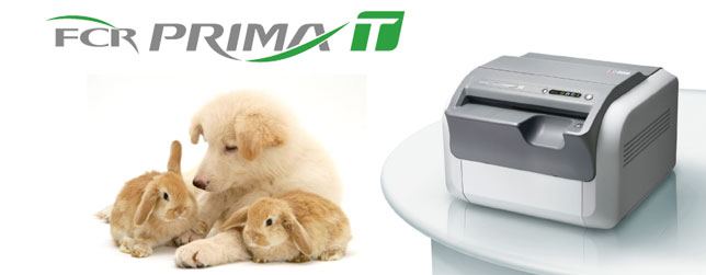 Radiologia veterinaria